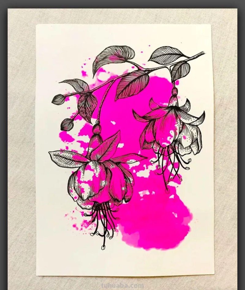 绘画｜黑白线条与简洁色块，这组花卉手绘作品太美了