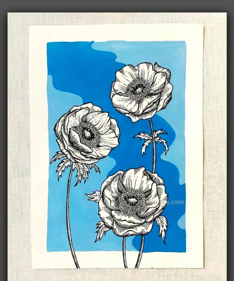 绘画｜黑白线条与简洁色块，这组花卉手绘作品太美了