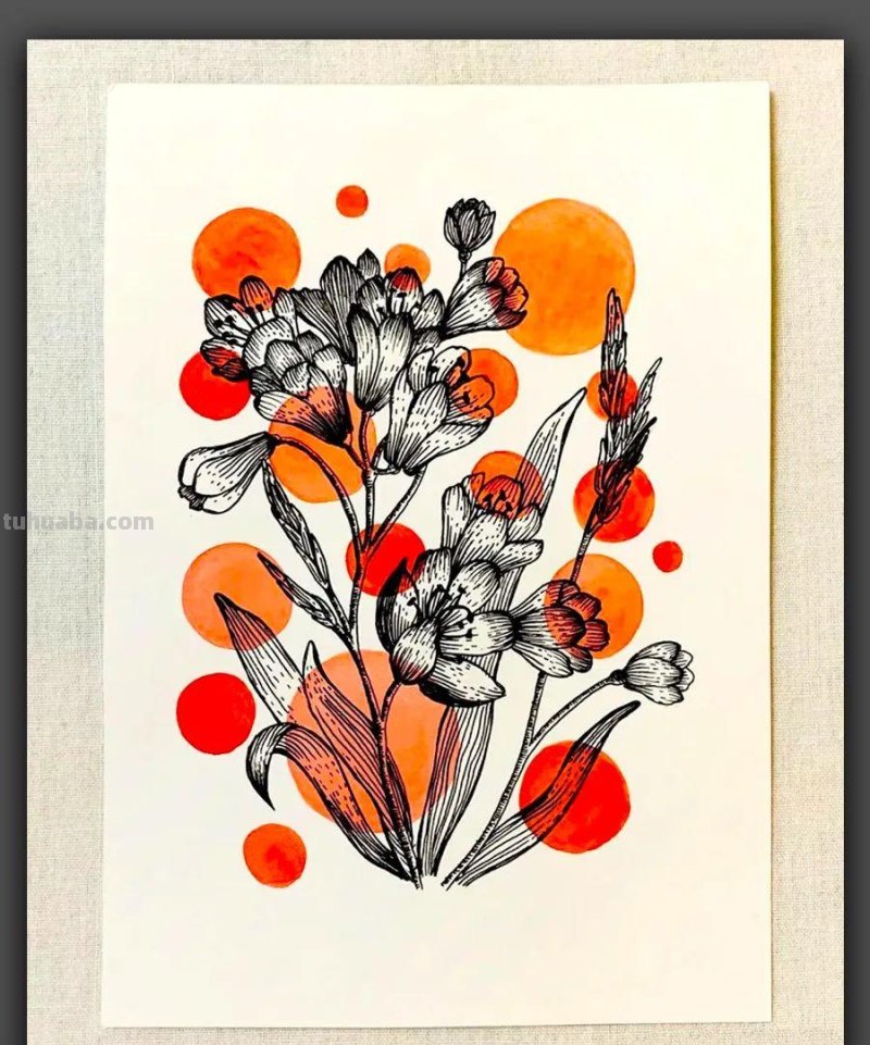 绘画｜黑白线条与简洁色块，这组花卉手绘作品太美了