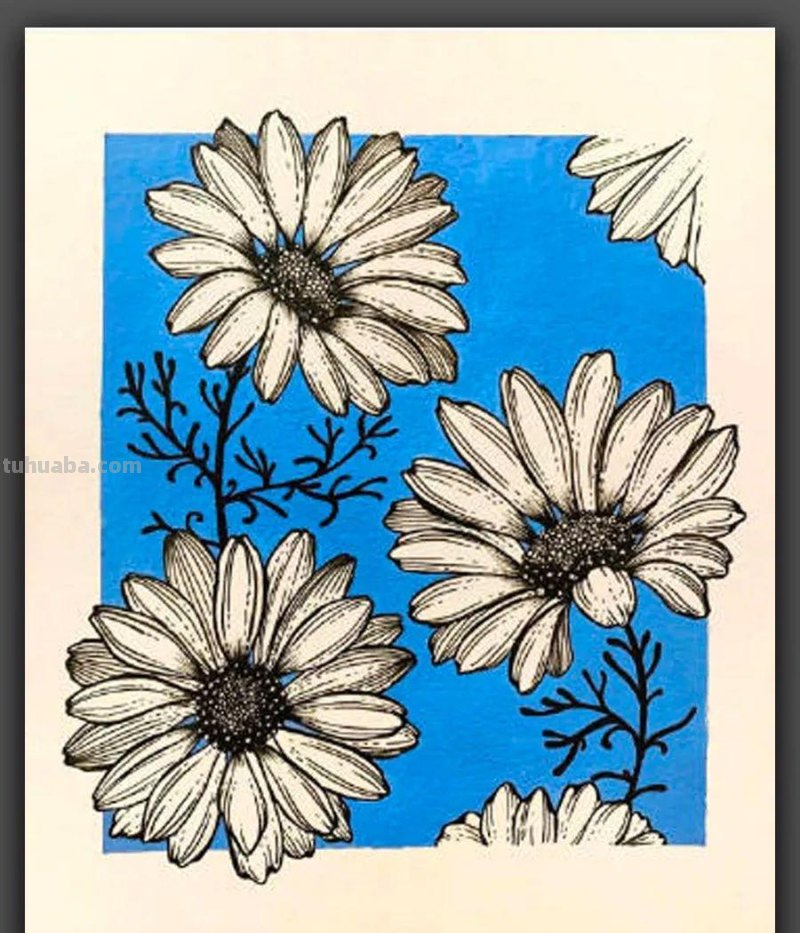 绘画｜黑白线条与简洁色块，这组花卉手绘作品太美了