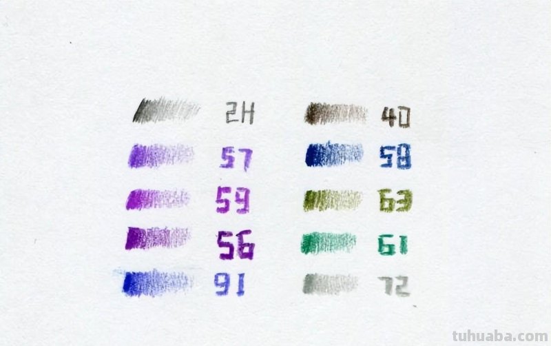 零基础也可以画好彩铅，教你画一幅花卉