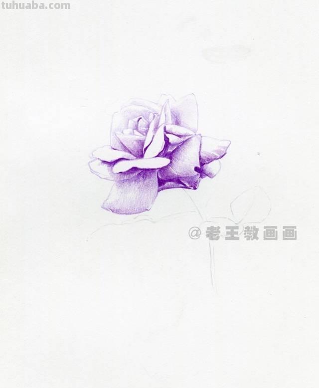 零基础也可以画好彩铅，教你画一幅花卉