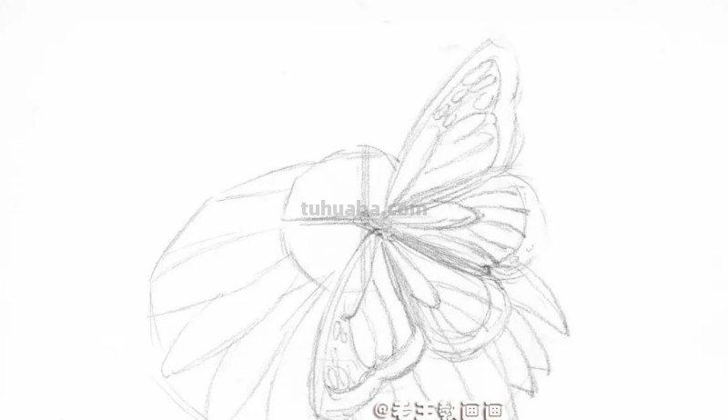 零基础也能玩转彩铅绘画!学会绘制华丽蝶恋花的秘诀! 零基础也能玩转彩铅绘画!学会绘制华丽蝶恋花的秘诀!