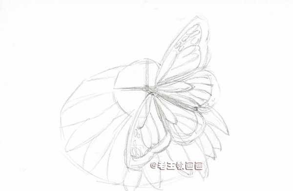 零基础也能玩转彩铅绘画!学会绘制华丽蝶恋花的秘诀! 零基础也能玩转彩铅绘画!学会绘制华丽蝶恋花的秘诀!