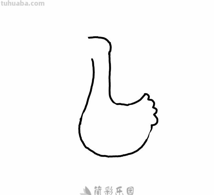 鹅简笔画分步图解及视频教程，轻松变身绘画达人