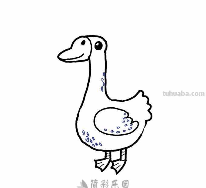 鹅简笔画分步图解及视频教程，轻松变身绘画达人