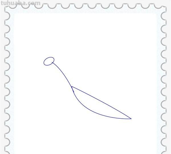 儿童简笔画精选「昆虫」-螳螂（Mantis）的绘画步骤