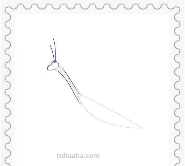 儿童简笔画精选「昆虫」-螳螂（Mantis）的绘画步骤