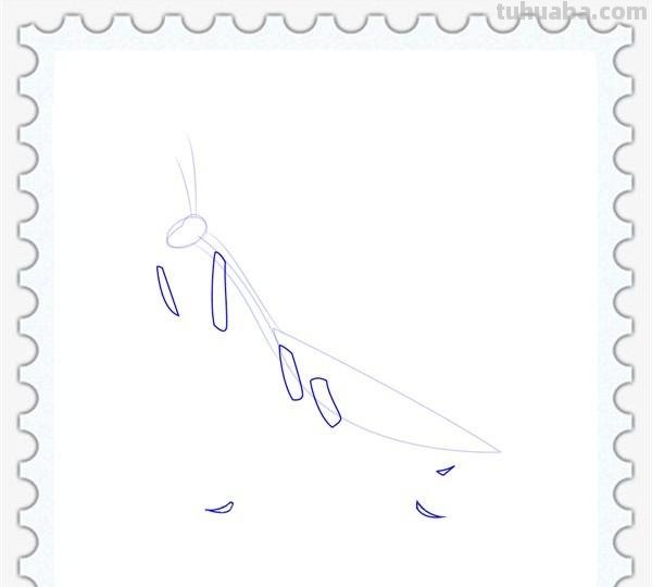 儿童简笔画精选「昆虫」-螳螂（Mantis）的绘画步骤