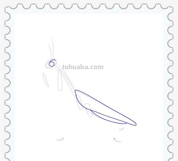 儿童简笔画精选「昆虫」-螳螂（Mantis）的绘画步骤