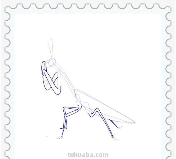儿童简笔画精选「昆虫」-螳螂（Mantis）的绘画步骤