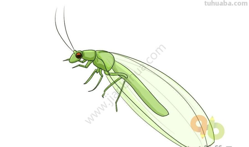 儿童简笔画昆虫合集，简单易学，快为孩子收藏吧！