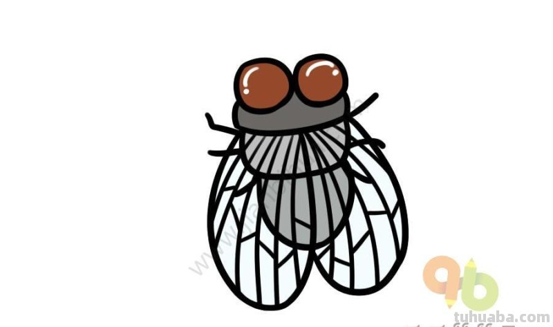 儿童简笔画昆虫合集，简单易学，快为孩子收藏吧！