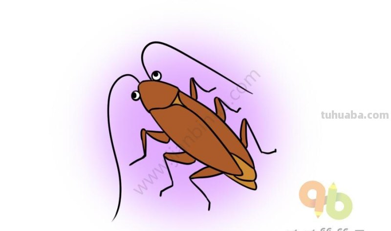 儿童简笔画昆虫合集，简单易学，快为孩子收藏吧！