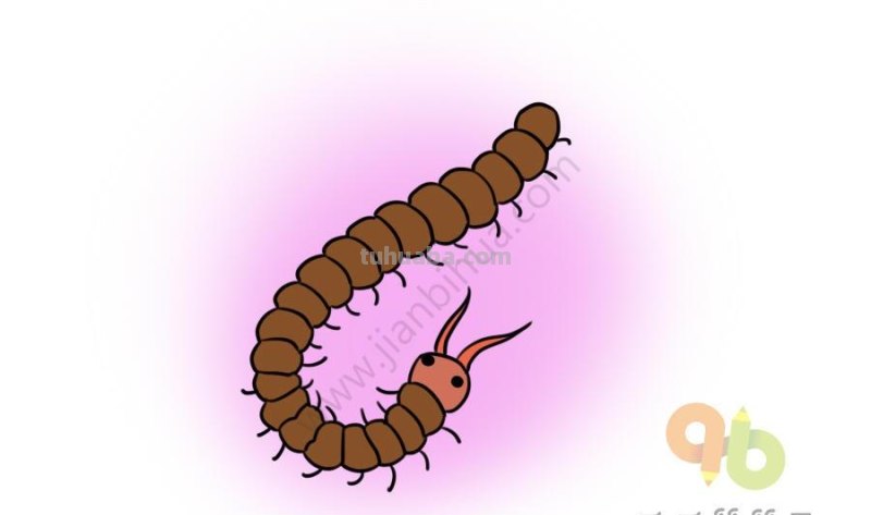 儿童简笔画昆虫合集，简单易学，快为孩子收藏吧！