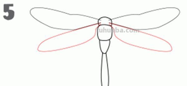 宝宝都是小画家：超容易简笔画傻瓜教程小昆虫篇（图）