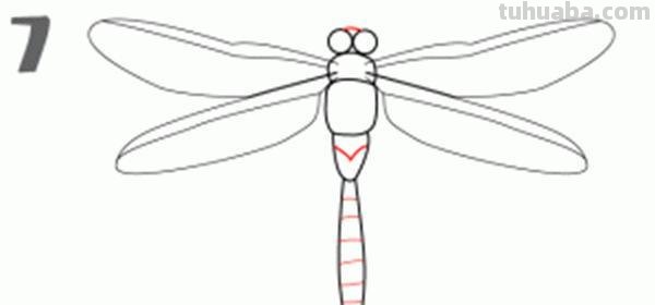 宝宝都是小画家：超容易简笔画傻瓜教程小昆虫篇（图）