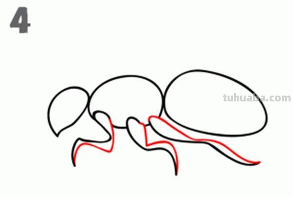 宝宝都是小画家：超容易简笔画傻瓜教程小昆虫篇（图）