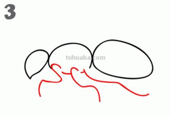 宝宝都是小画家：超容易简笔画傻瓜教程小昆虫篇（图）