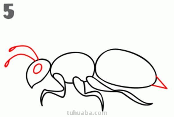 宝宝都是小画家：超容易简笔画傻瓜教程小昆虫篇（图）