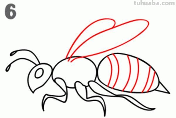 宝宝都是小画家：超容易简笔画傻瓜教程小昆虫篇（图）