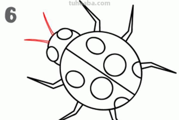 宝宝都是小画家：超容易简笔画傻瓜教程小昆虫篇（图）