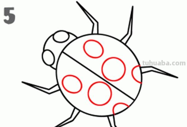 宝宝都是小画家：超容易简笔画傻瓜教程小昆虫篇（图）