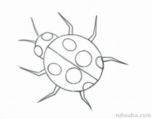 宝宝都是小画家：超容易简笔画傻瓜教程小昆虫篇（图）