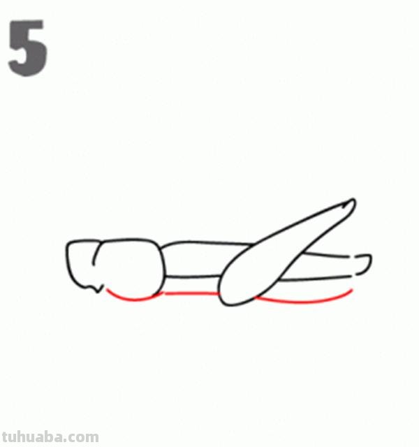 宝宝都是小画家：超容易简笔画傻瓜教程小昆虫篇（图）