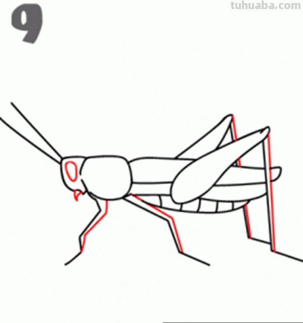 宝宝都是小画家：超容易简笔画傻瓜教程小昆虫篇（图）