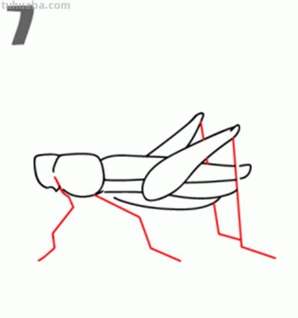 宝宝都是小画家：超容易简笔画傻瓜教程小昆虫篇（图）