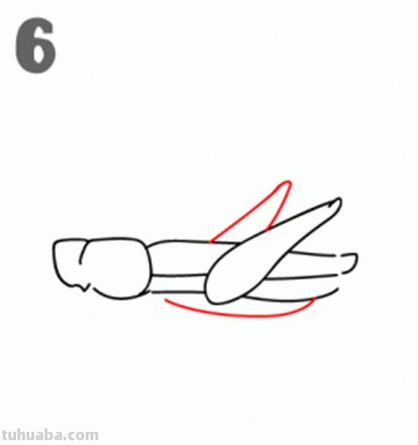 宝宝都是小画家：超容易简笔画傻瓜教程小昆虫篇（图）