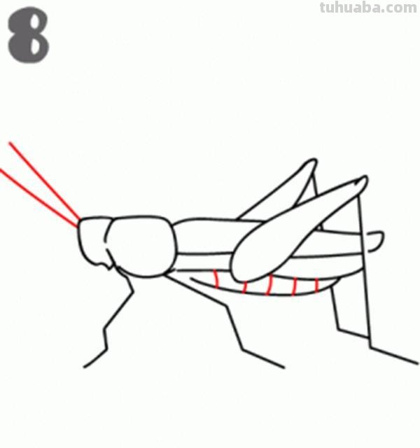 宝宝都是小画家：超容易简笔画傻瓜教程小昆虫篇（图）