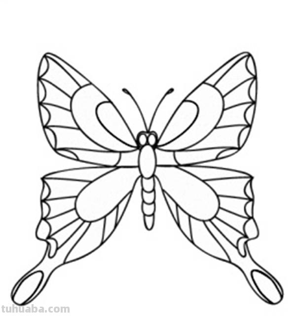 宝宝都是小画家：超容易简笔画傻瓜教程小昆虫篇（图）