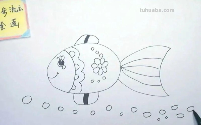儿童简笔画教程：小鱼，简单易学的绘画步骤