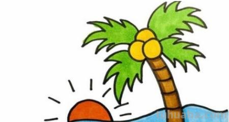 椰树速写教程(椰树速写教程视频) 椰树速写教程(椰树速写教程视频)