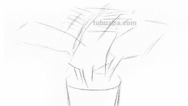 椰树速写教程(椰树速写教程视频) 椰树速写教程(椰树速写教程视频)
