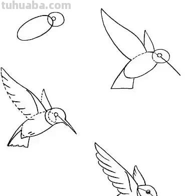 花鸟简笔画详细过程图，分分钟就能学会