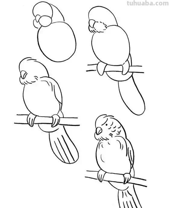 花鸟简笔画详细过程图，分分钟就能学会