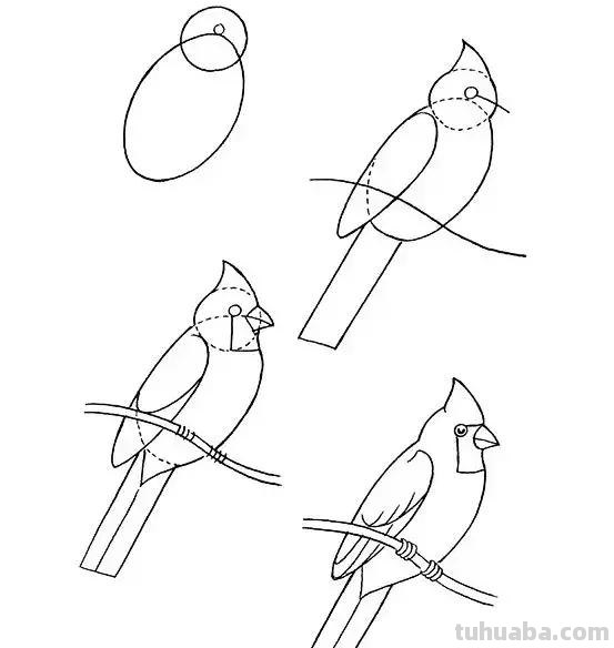 花鸟简笔画详细过程图，分分钟就能学会