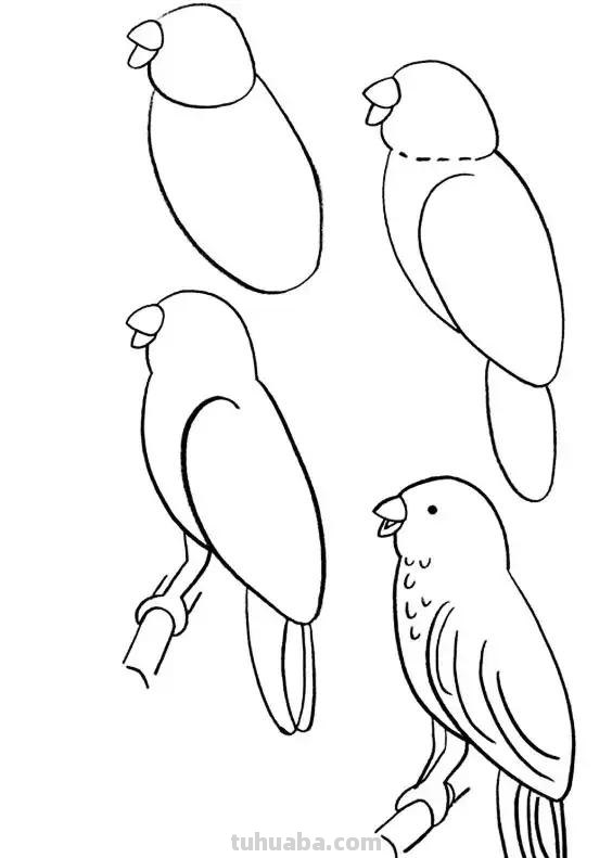 花鸟简笔画详细过程图，分分钟就能学会