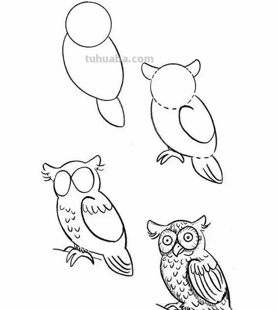 花鸟简笔画详细过程图，分分钟就能学会