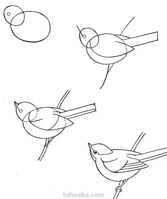 花鸟简笔画详细过程图，分分钟就能学会
