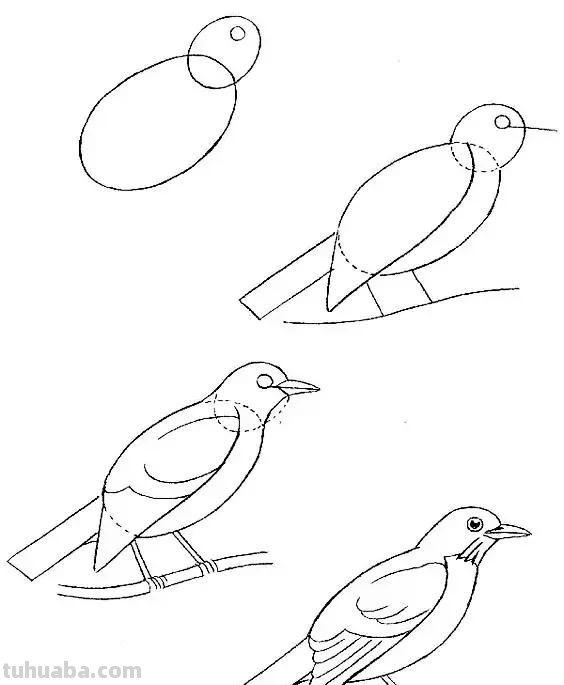 花鸟简笔画详细过程图，分分钟就能学会