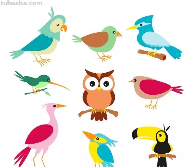 「合集!」小鸟有几种画法?来收下这50只可爱的卡通手绘鸟儿! 「合集!」小鸟有几种画法?来收下这50只可爱的卡通手绘鸟儿!