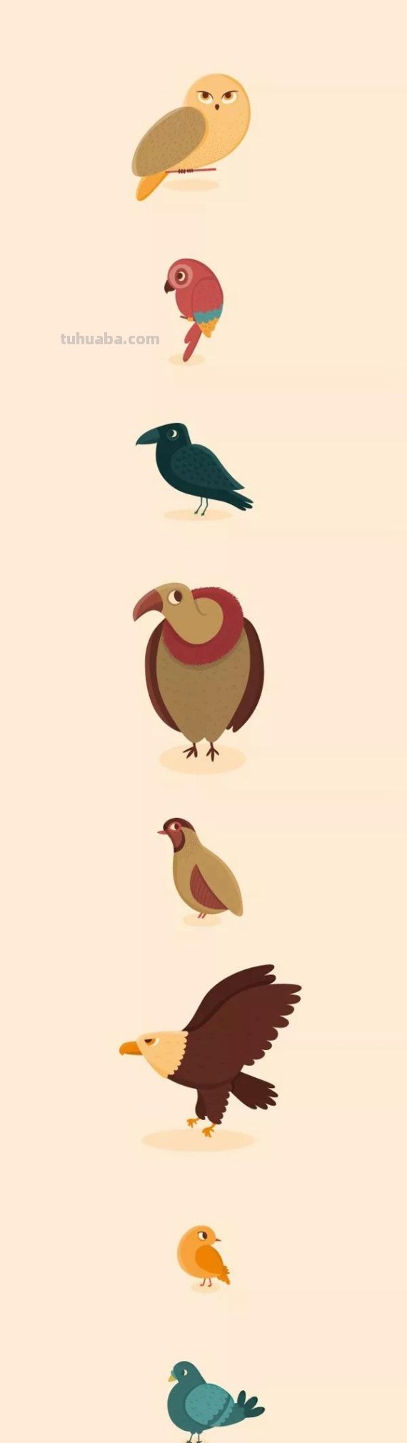 「合集!」小鸟有几种画法?来收下这50只可爱的卡通手绘鸟儿! 「合集!」小鸟有几种画法?来收下这50只可爱的卡通手绘鸟儿!