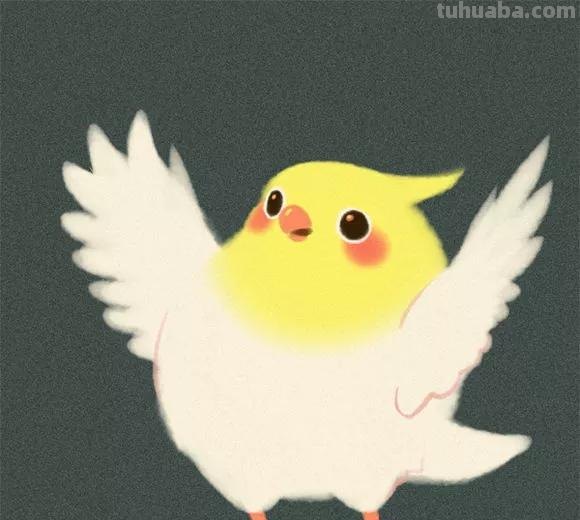 「合集!」小鸟有几种画法?来收下这50只可爱的卡通手绘鸟儿! 「合集!」小鸟有几种画法?来收下这50只可爱的卡通手绘鸟儿!