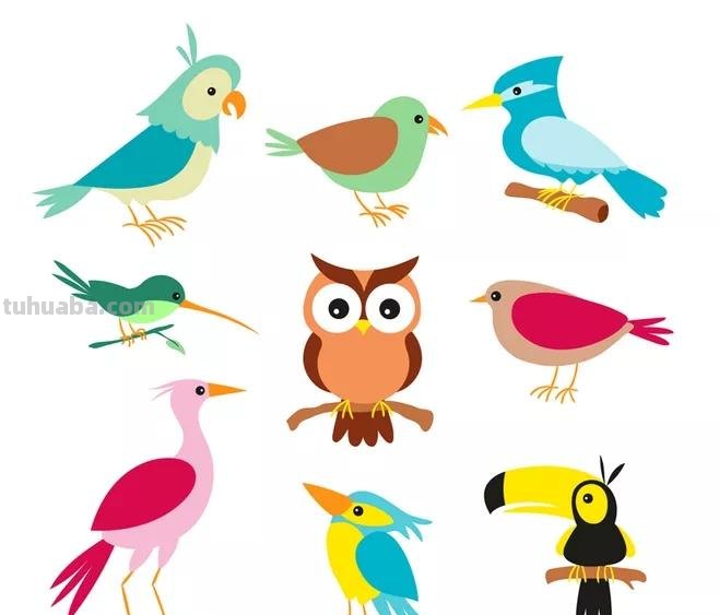 「合集!」小鸟有几种画法?来收下这50只可爱的卡通手绘鸟儿! 「合集!」小鸟有几种画法?来收下这50只可爱的卡通手绘鸟儿!