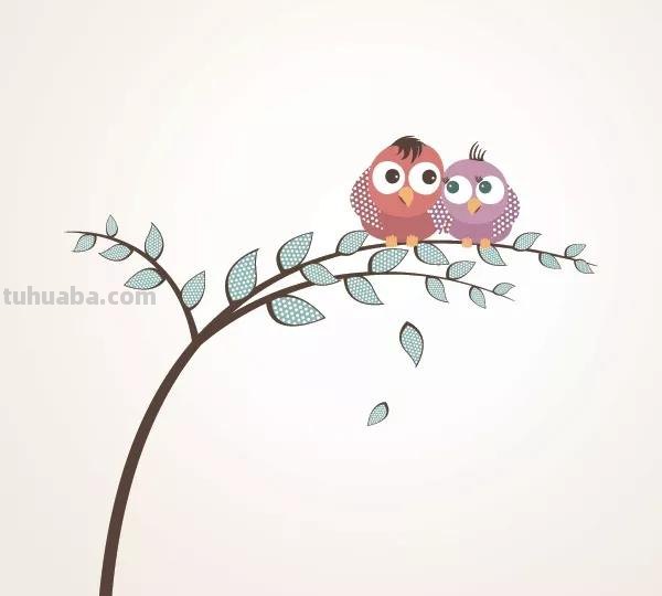 「合集!」小鸟有几种画法?来收下这50只可爱的卡通手绘鸟儿! 「合集!」小鸟有几种画法?来收下这50只可爱的卡通手绘鸟儿!