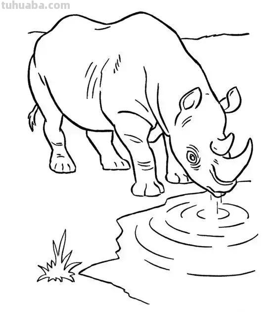 动物简笔画高清线稿，适合儿童画的简笔画